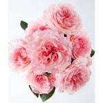 Mayras Rose / Майрас Роуз